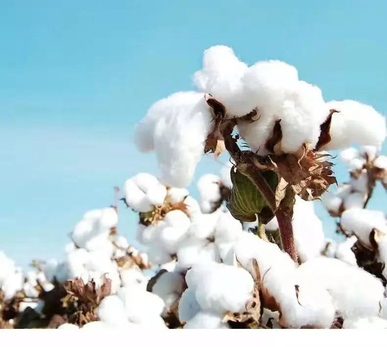 Sweatshirt for Women Men No Hat Cotton-Blend Fleece Sweatshirt Pullover Sweatshirt Crewneck  Pullover Hoodie  Streetwear ouc2553